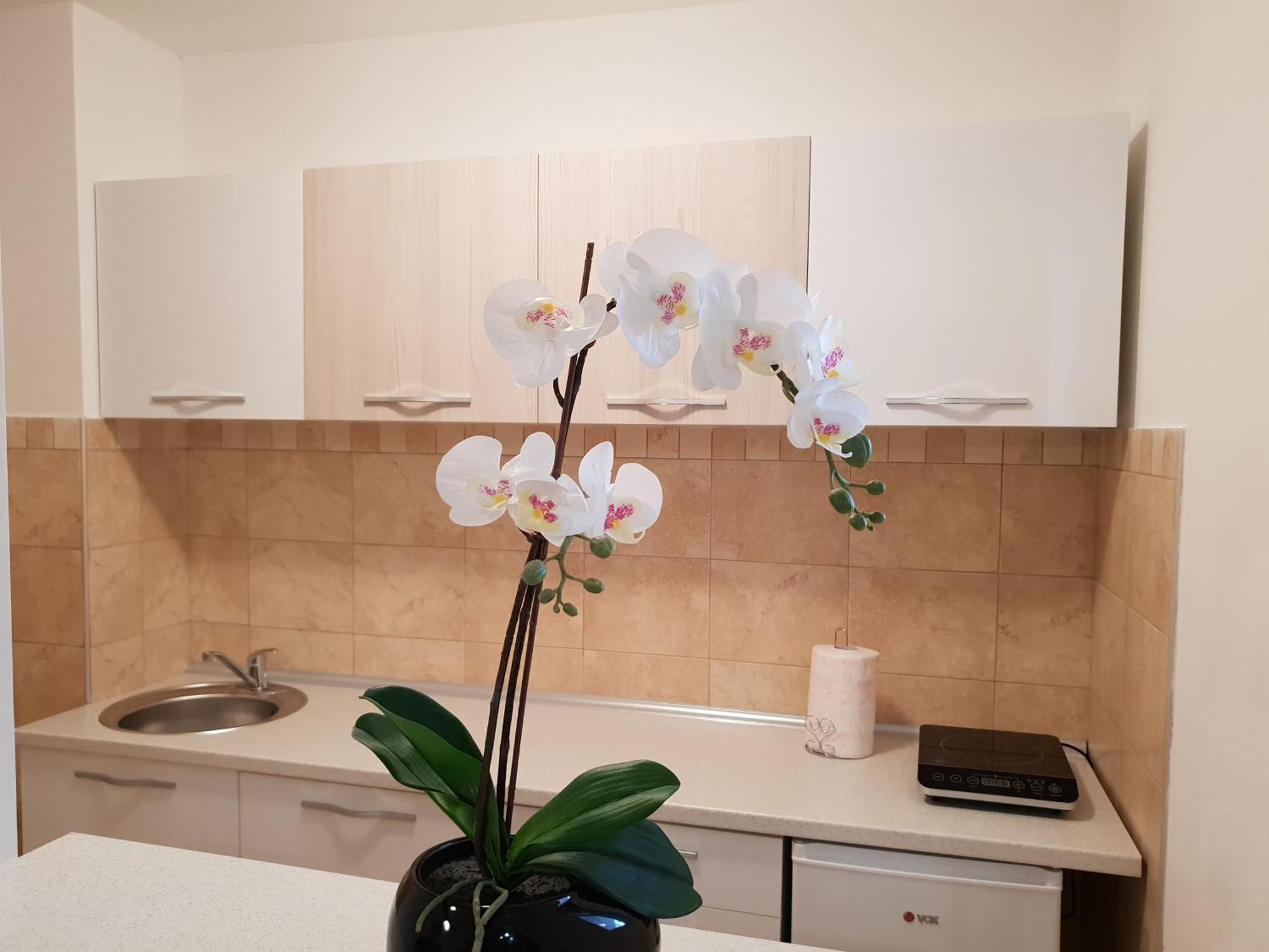 Apartman Kej Free Parking Kraljevo Buitenkant foto